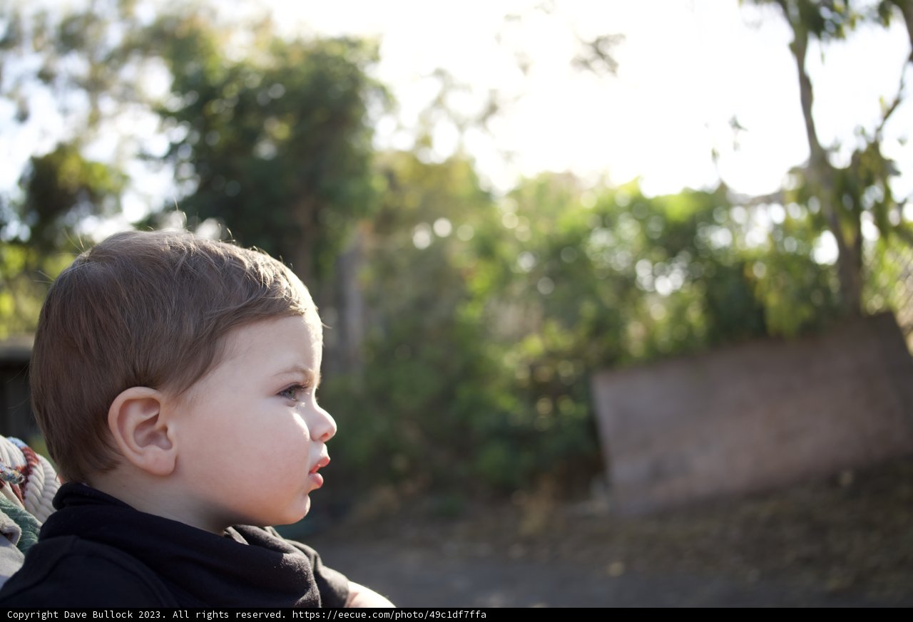 Outdoor Serenity with Wesley