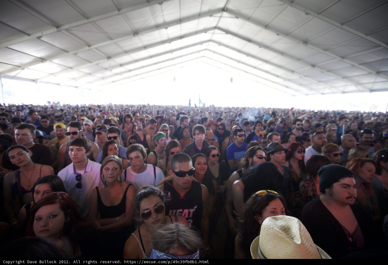 The Ultimate Coachella Crowd