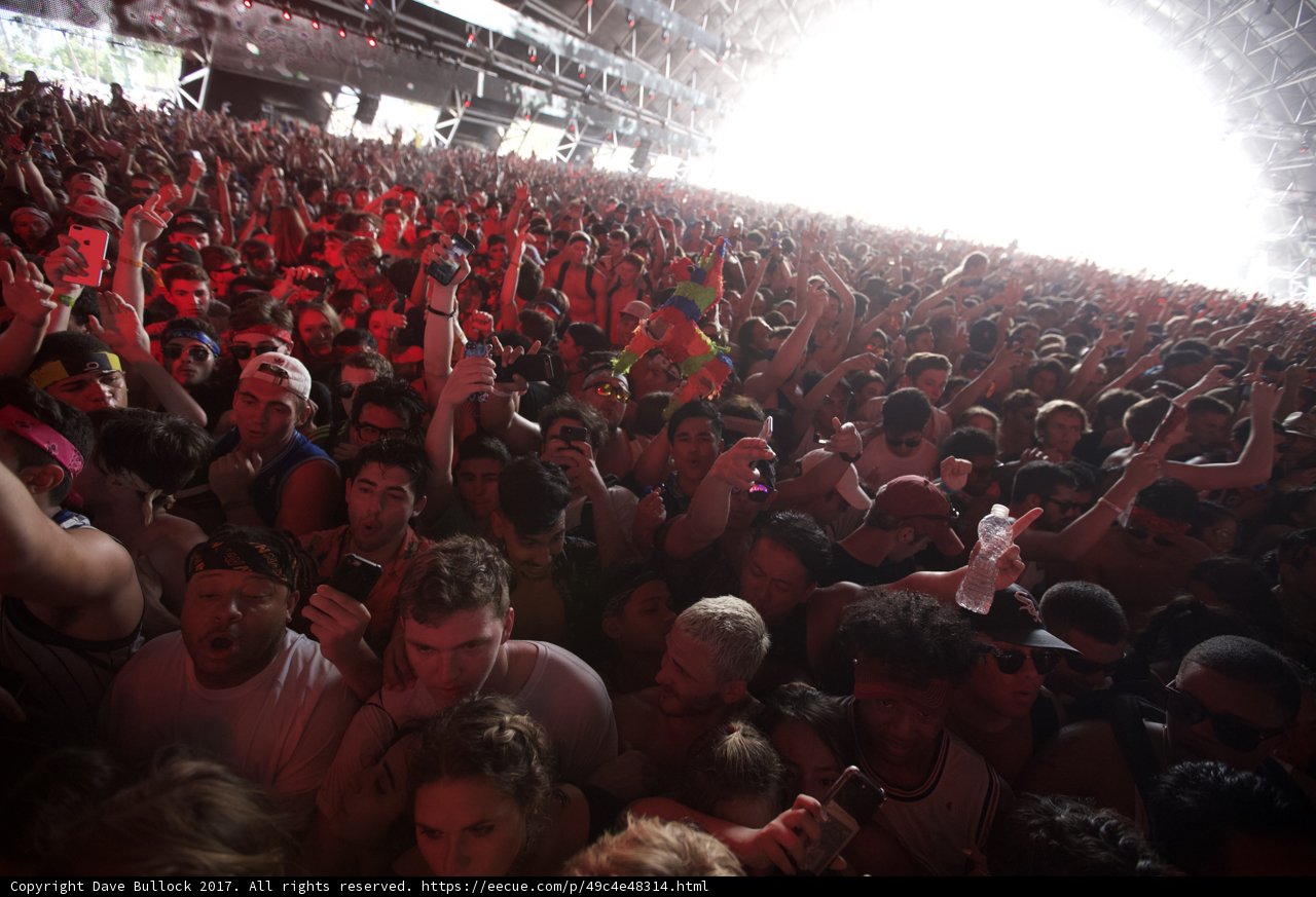 Coachella 2017 Audience