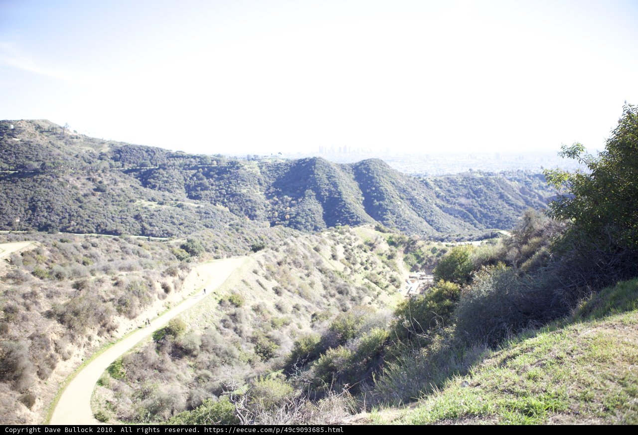 Serenity in the Wilderness
