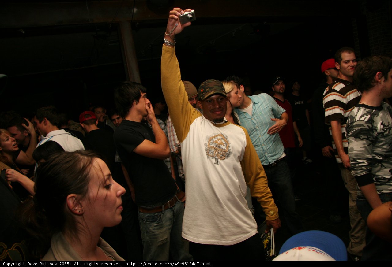 Stylish Crowd Vibes