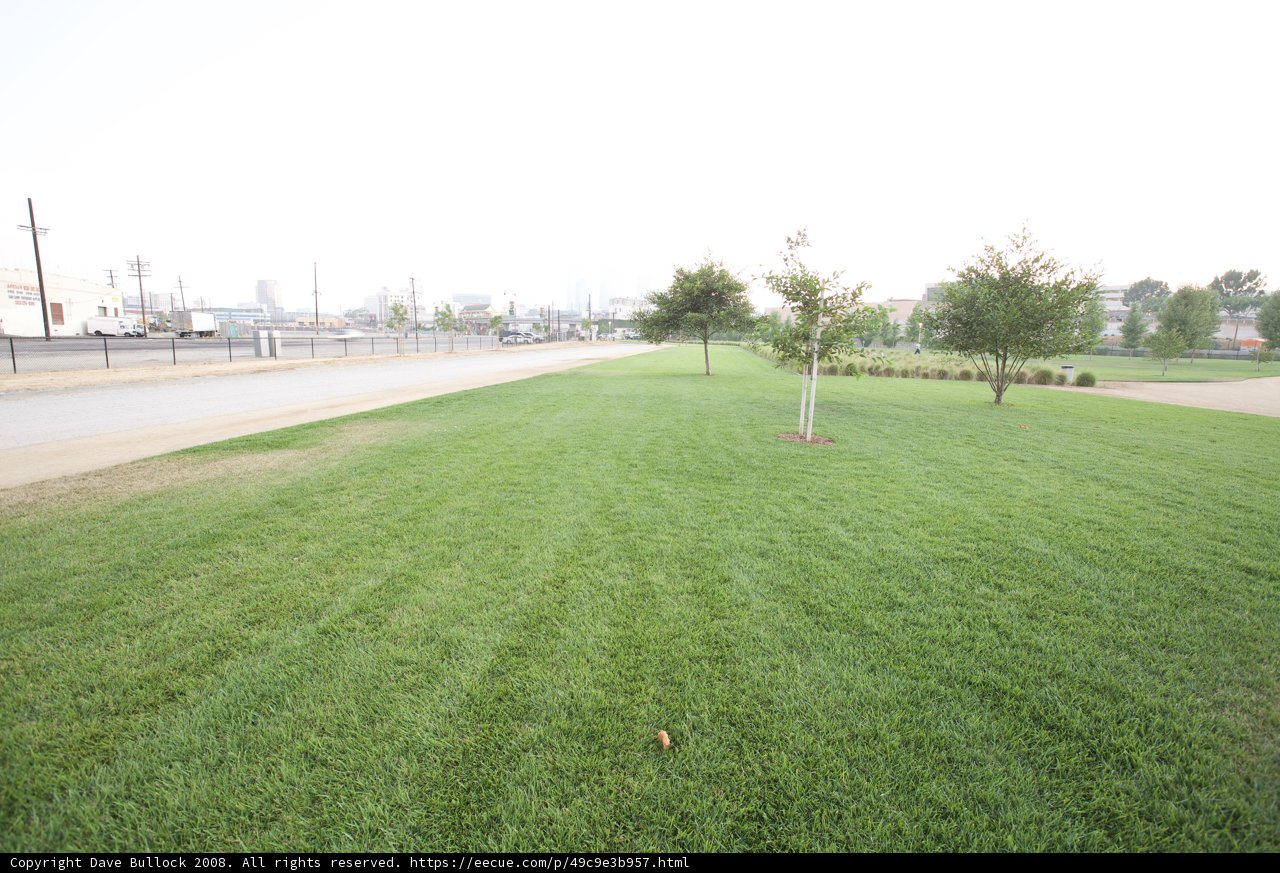 Serenity in the Grass