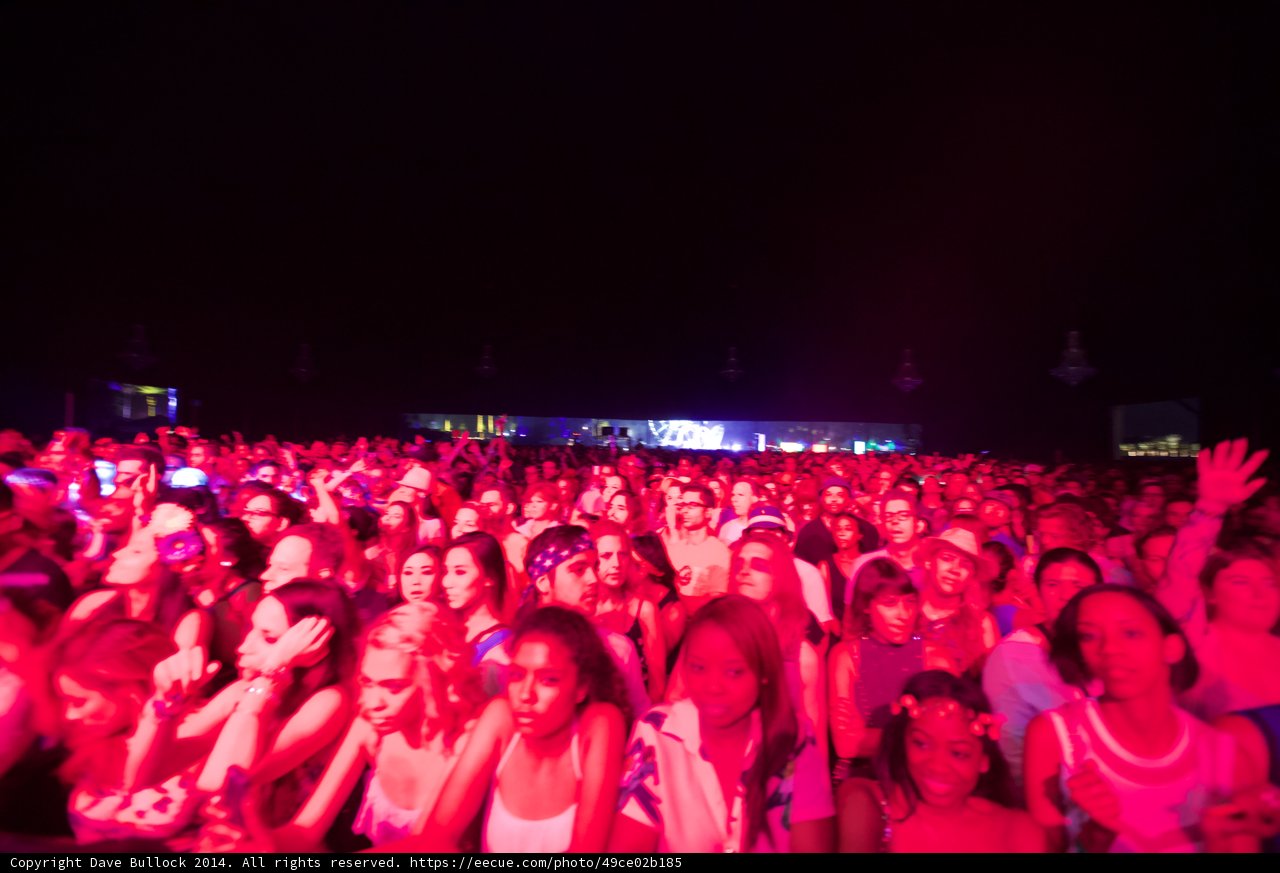 Pink Lights and a Pulsing Crowd