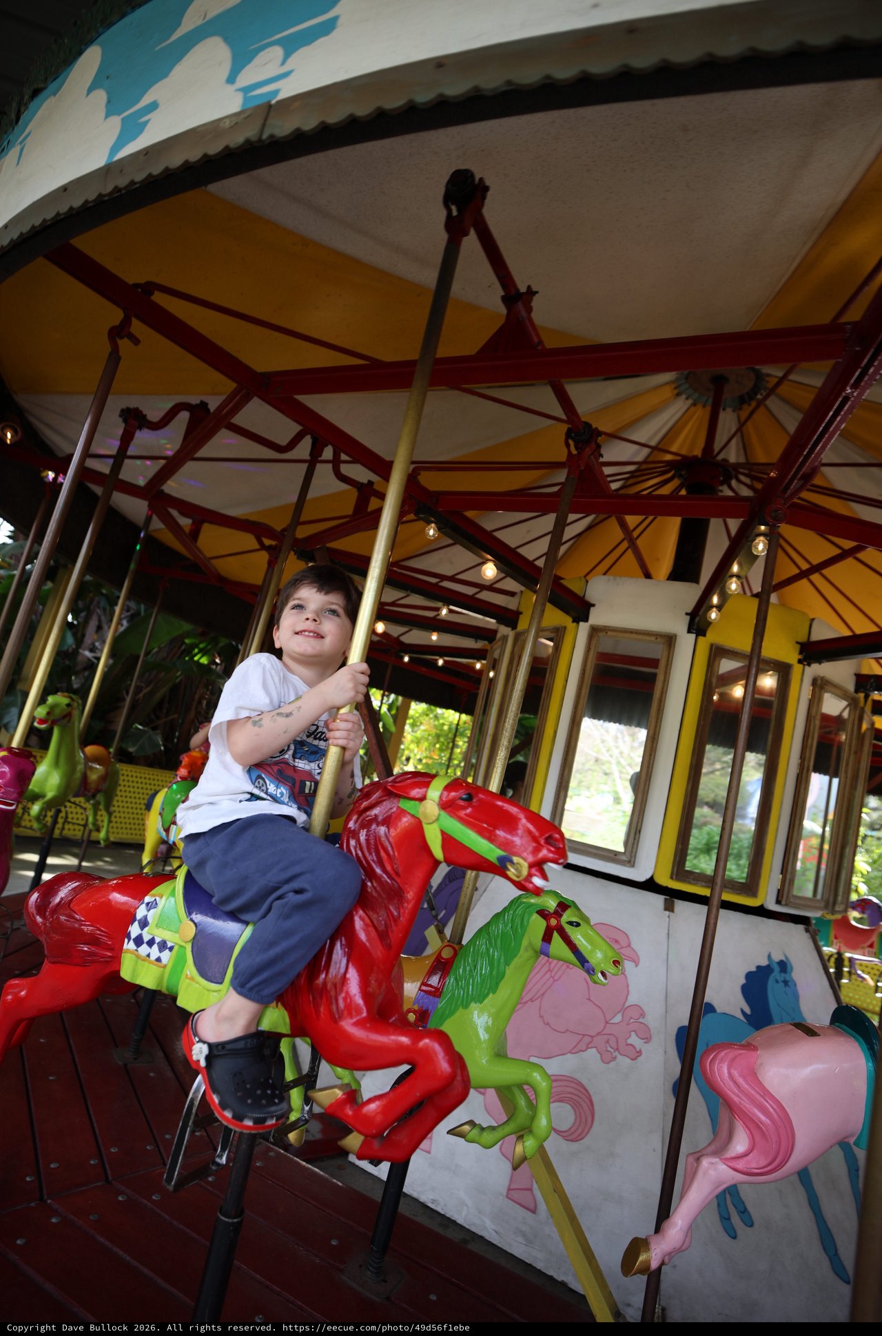 Young Boy Enjoying Colorful Carousel Ride at Fantasyland