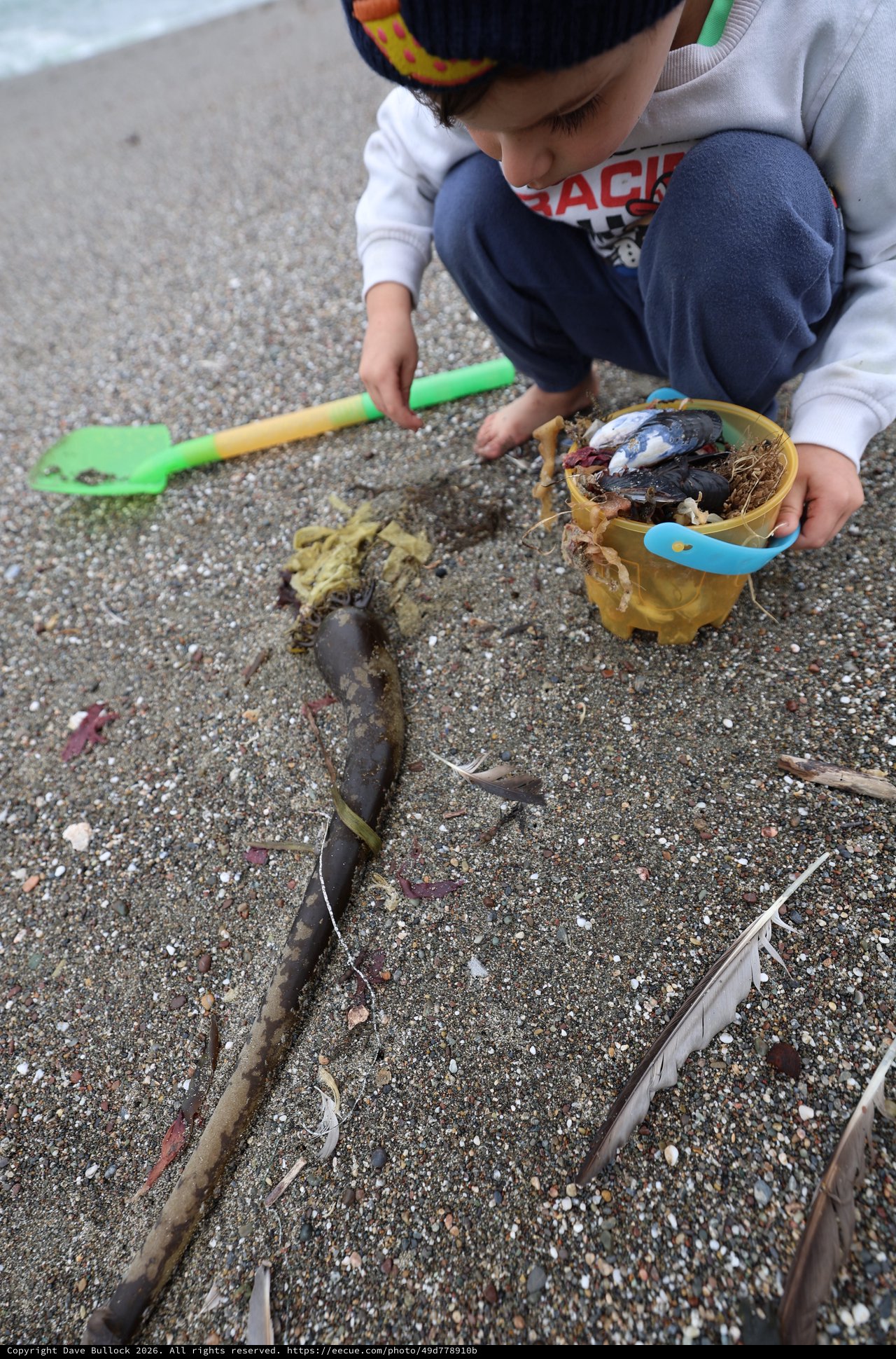 Young Explorer Collecting Beach Treasures at Low Tide