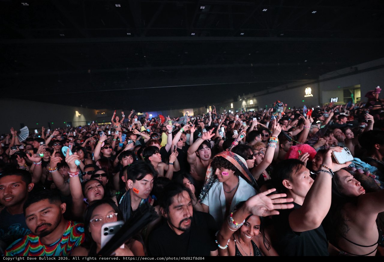 Massive Crowd Erupts at Wobbleland Music Festival 2026