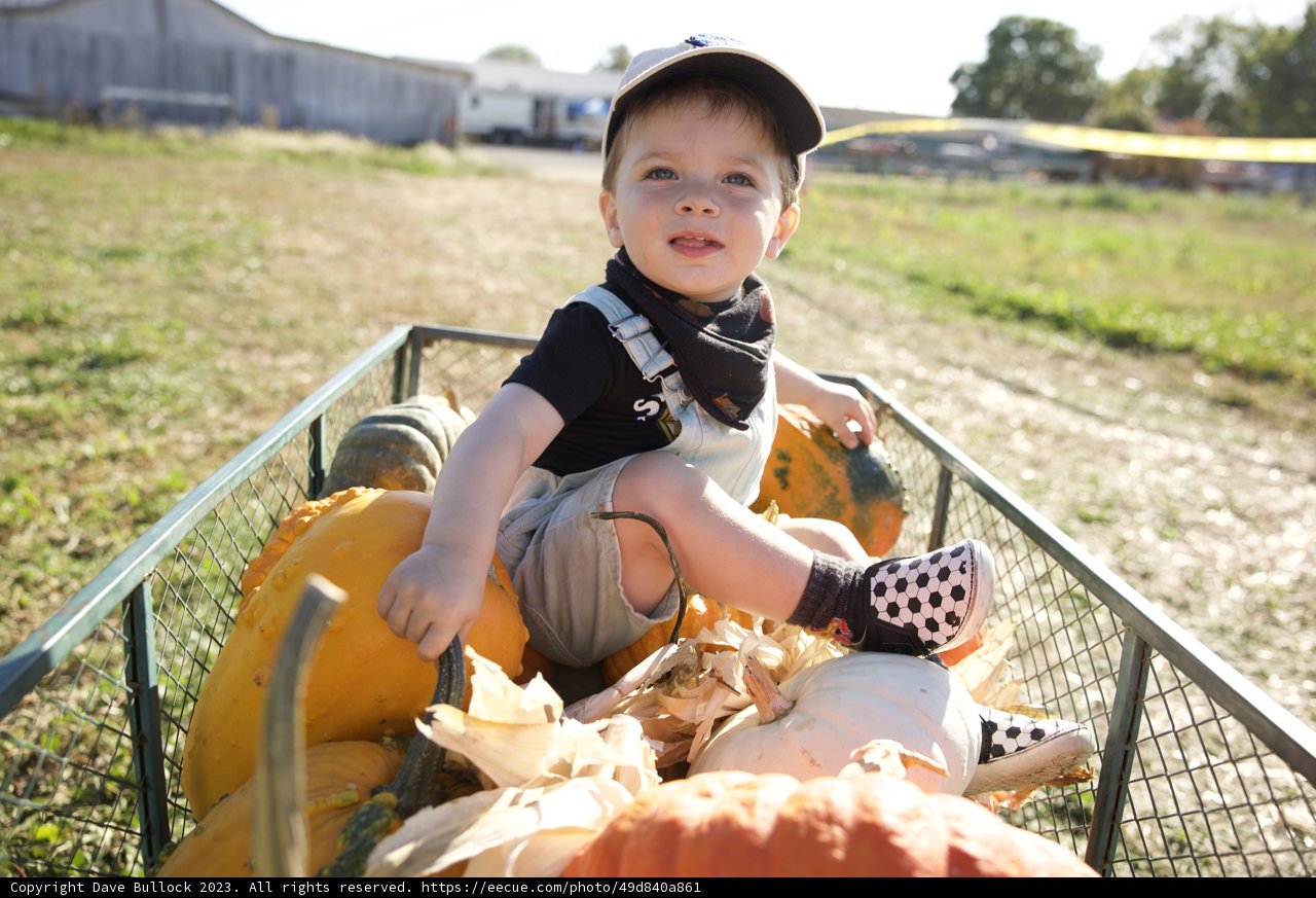 Harvest Adventure with Wesley