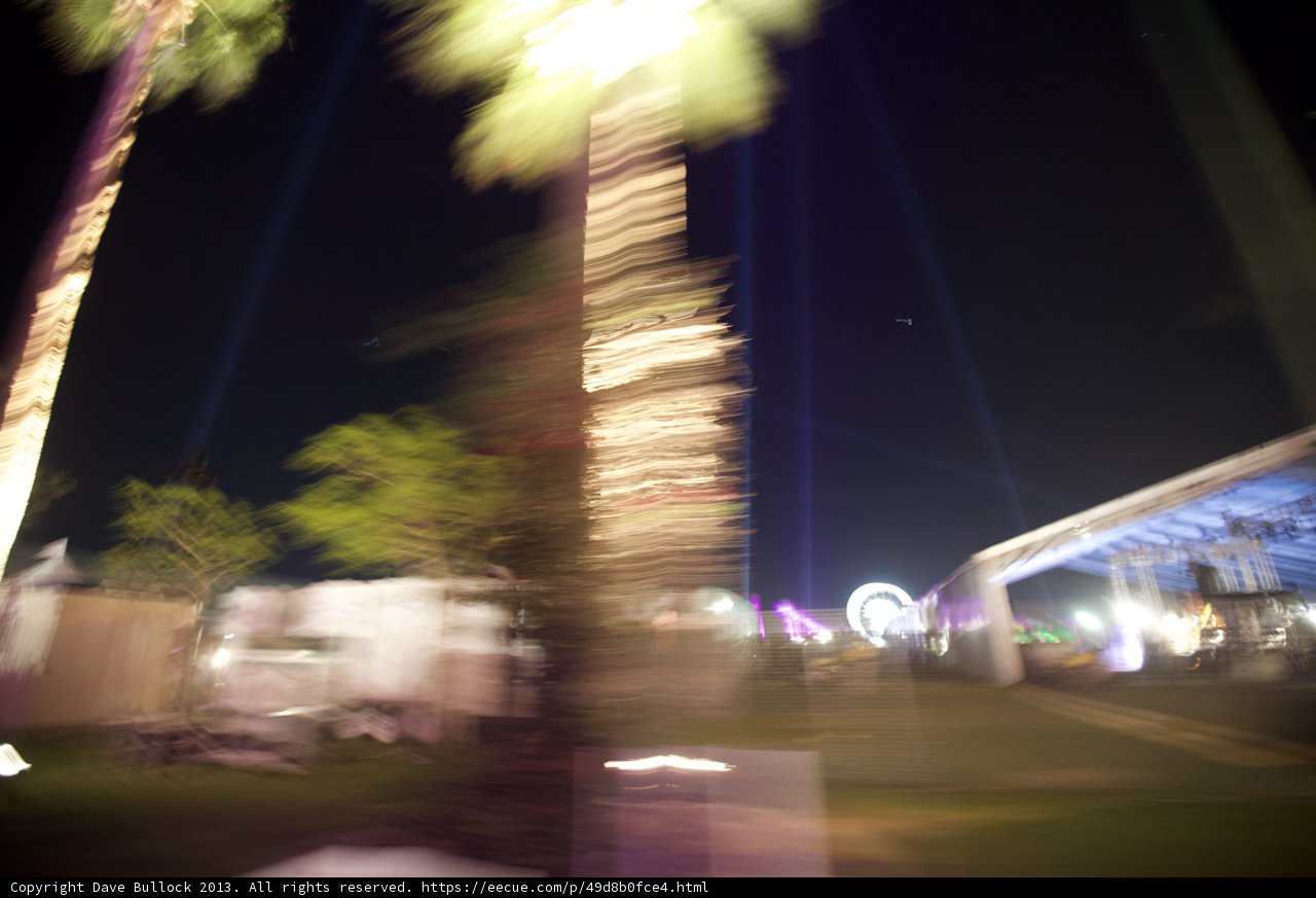 Urban Jungle Nights