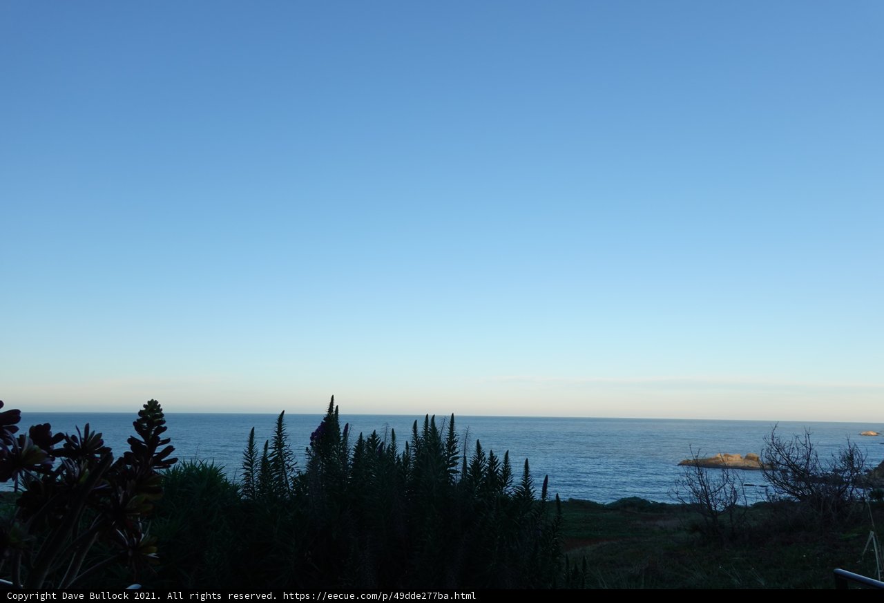 Tranquil Ocean View from Hillside