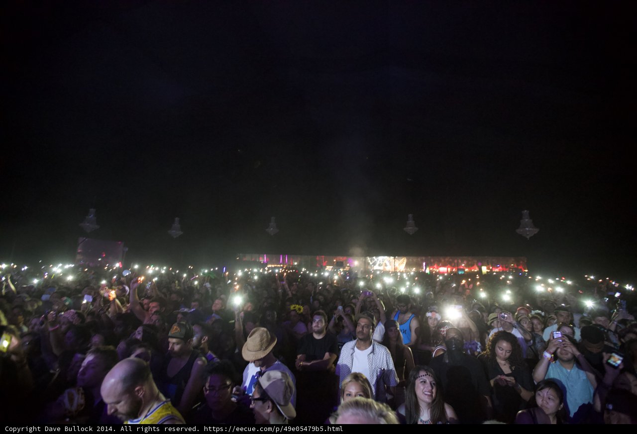 The Electric Crowd at Coachella