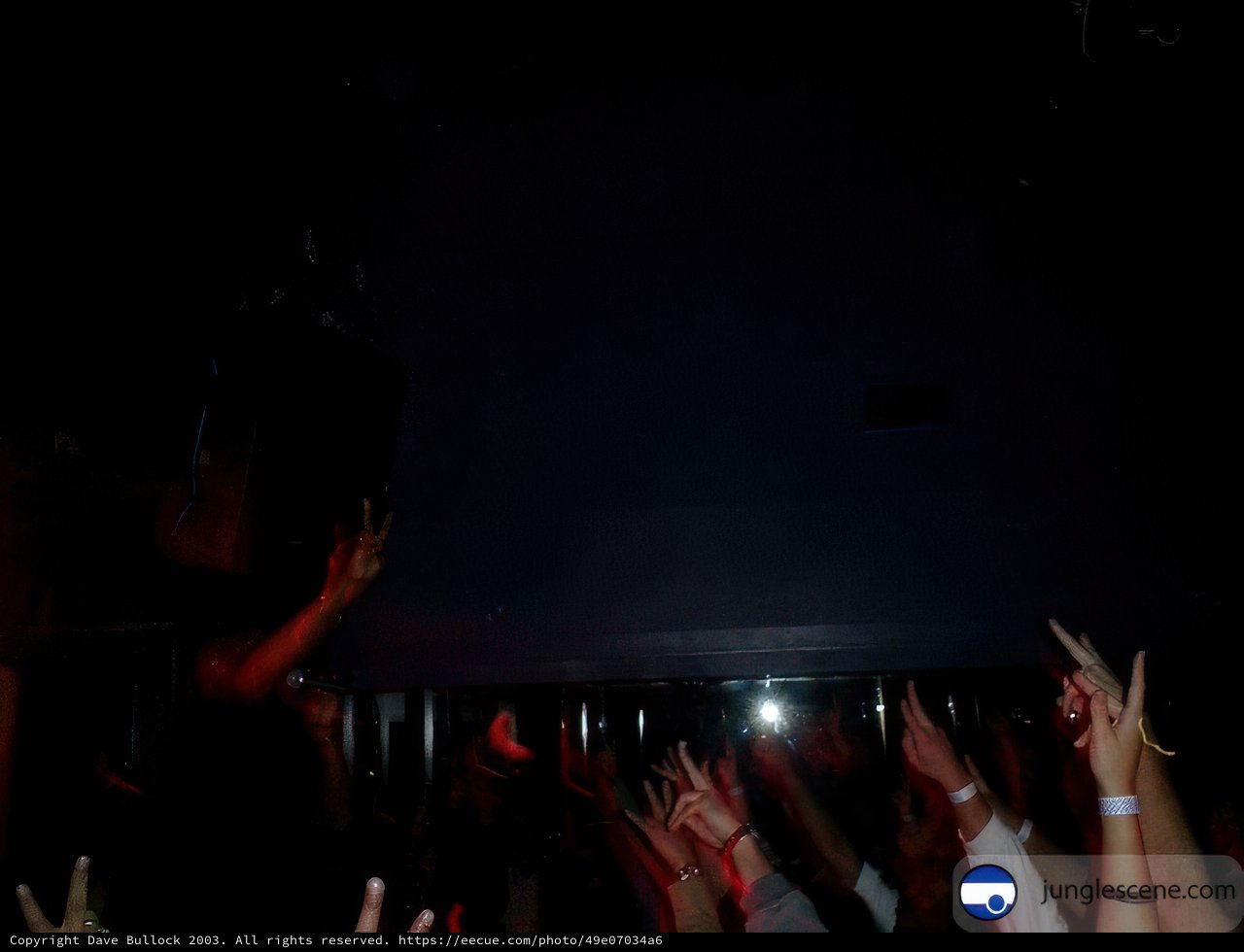 Crowd Goes Wild at Dubclub Concert