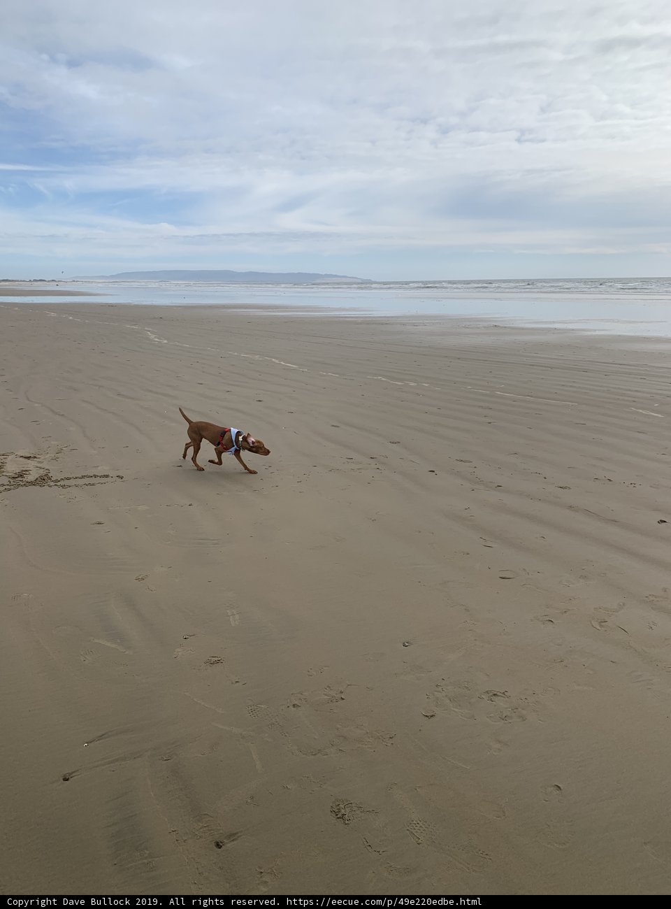 Running Free