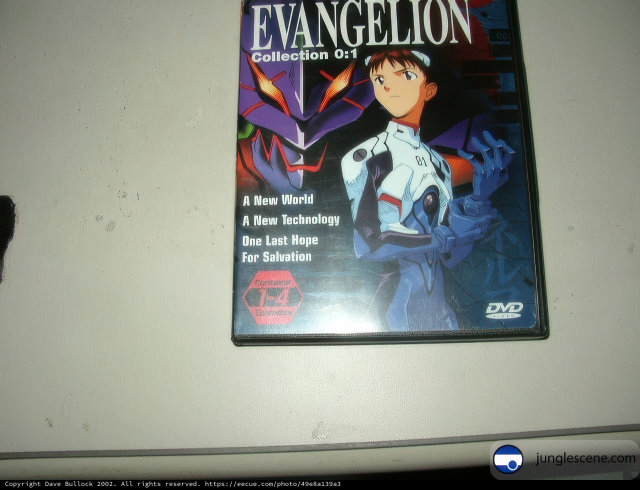 Evangelion DVD signed by Kei Toume