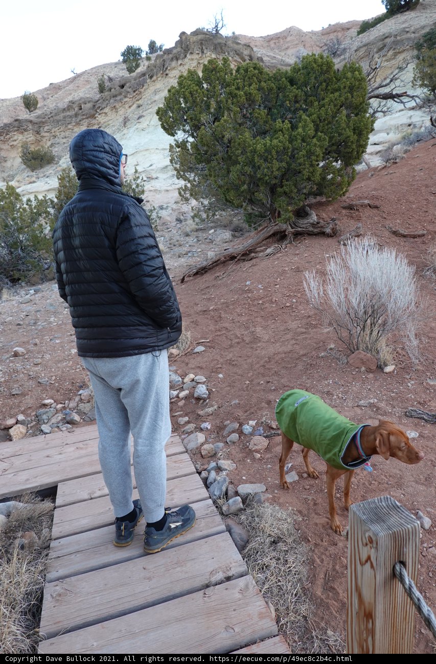Man and Dog Walking on a Wooden Walkway in Sandia Park