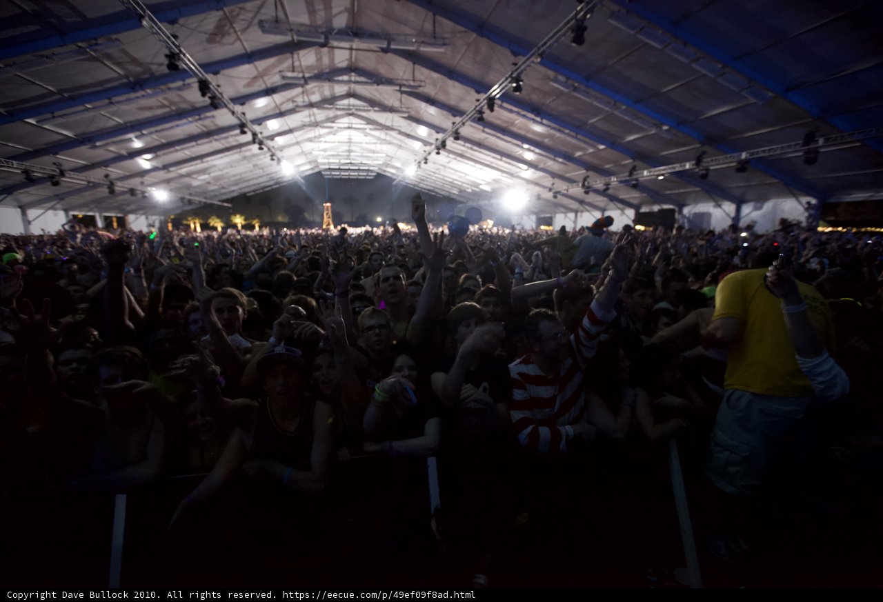 Jamming with the Crowd at Coachella