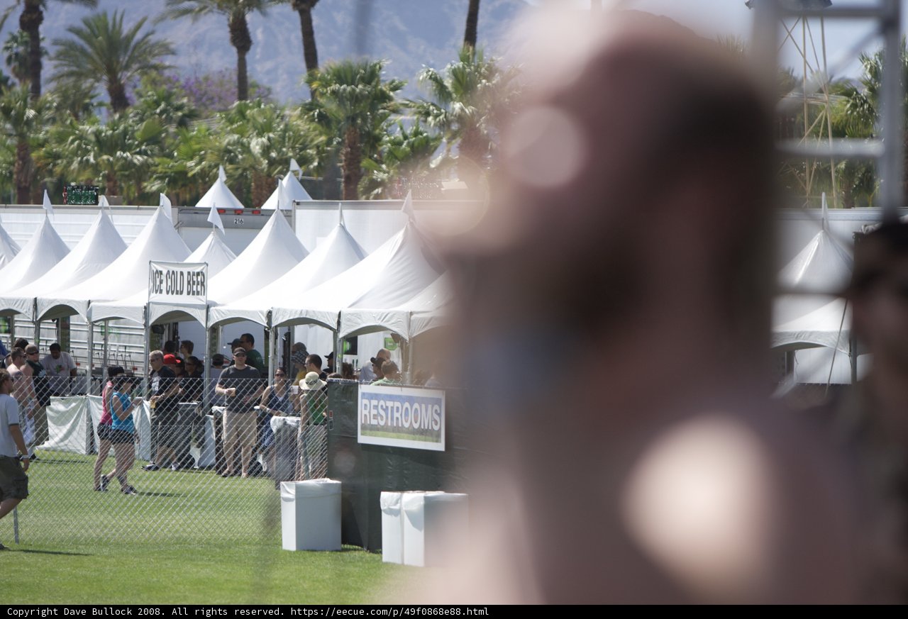 Man in Front of Festival Crowd