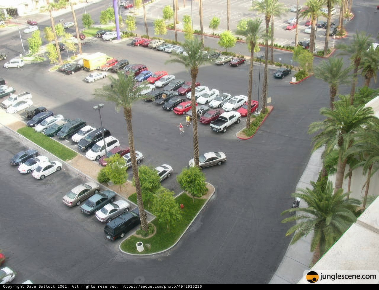 Aerial View of a Busy Parking Lot