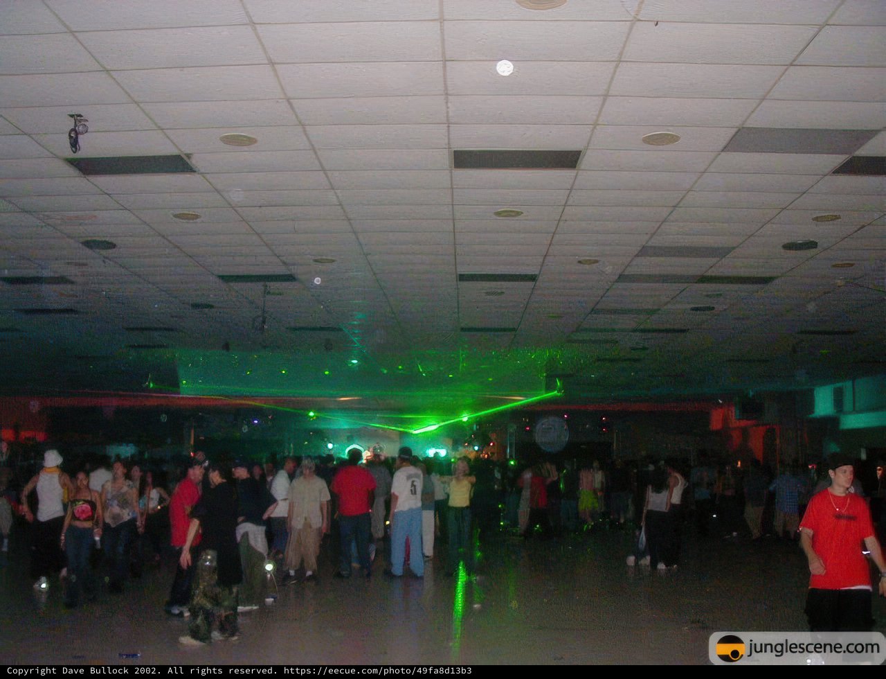 Disco Night: A Thrilling Crowd Experience