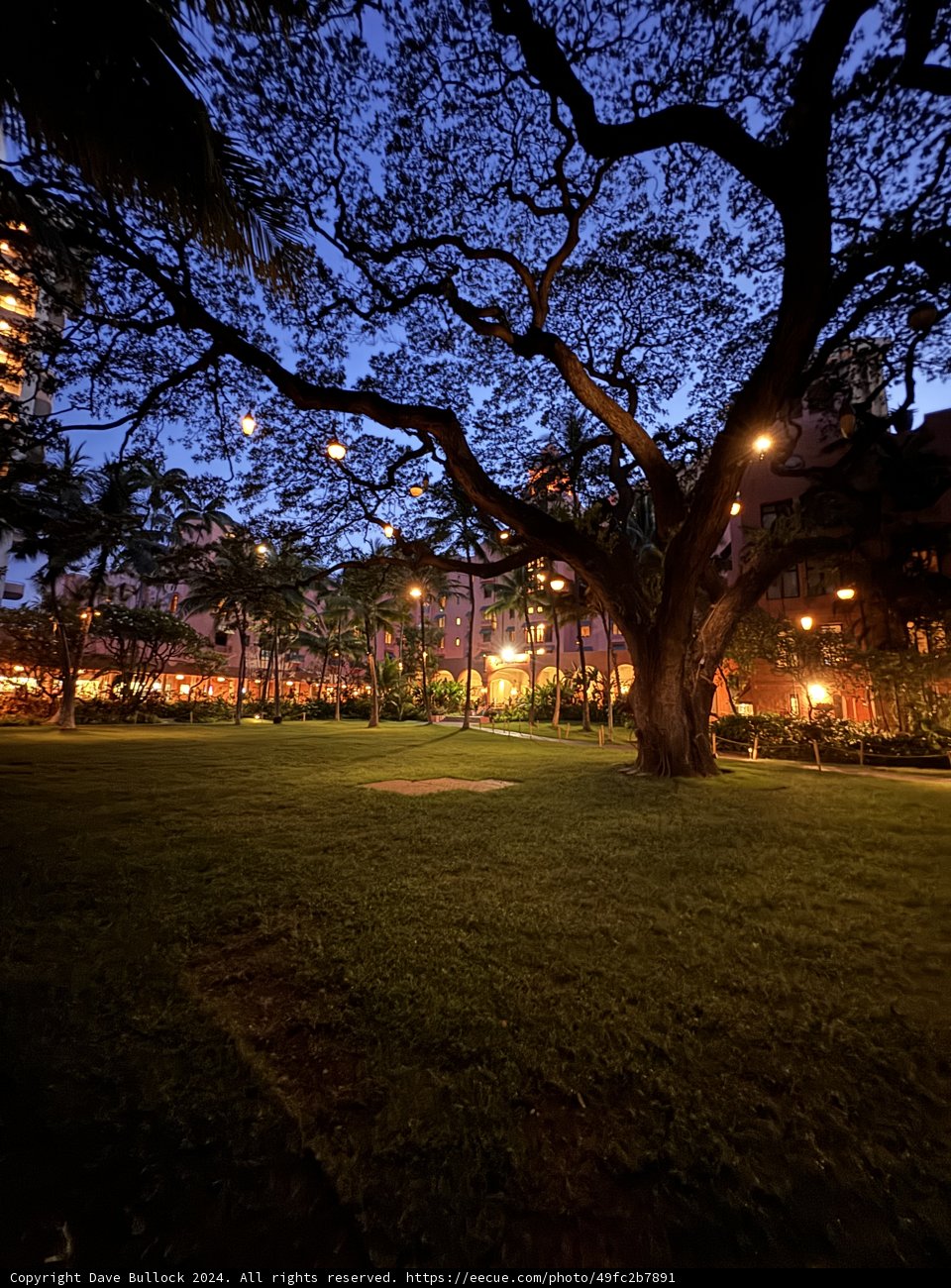 Twilight Serenity at The Royal Hawaiian