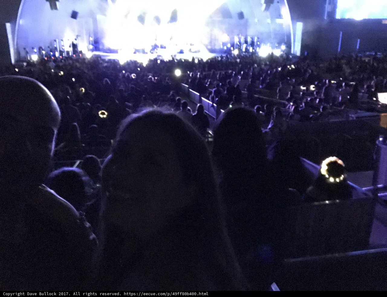 Capturing Memories Amidst the Crowd