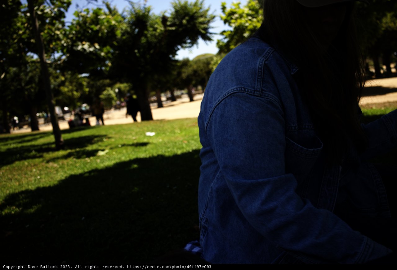 Serene Moments: Woman at the Park