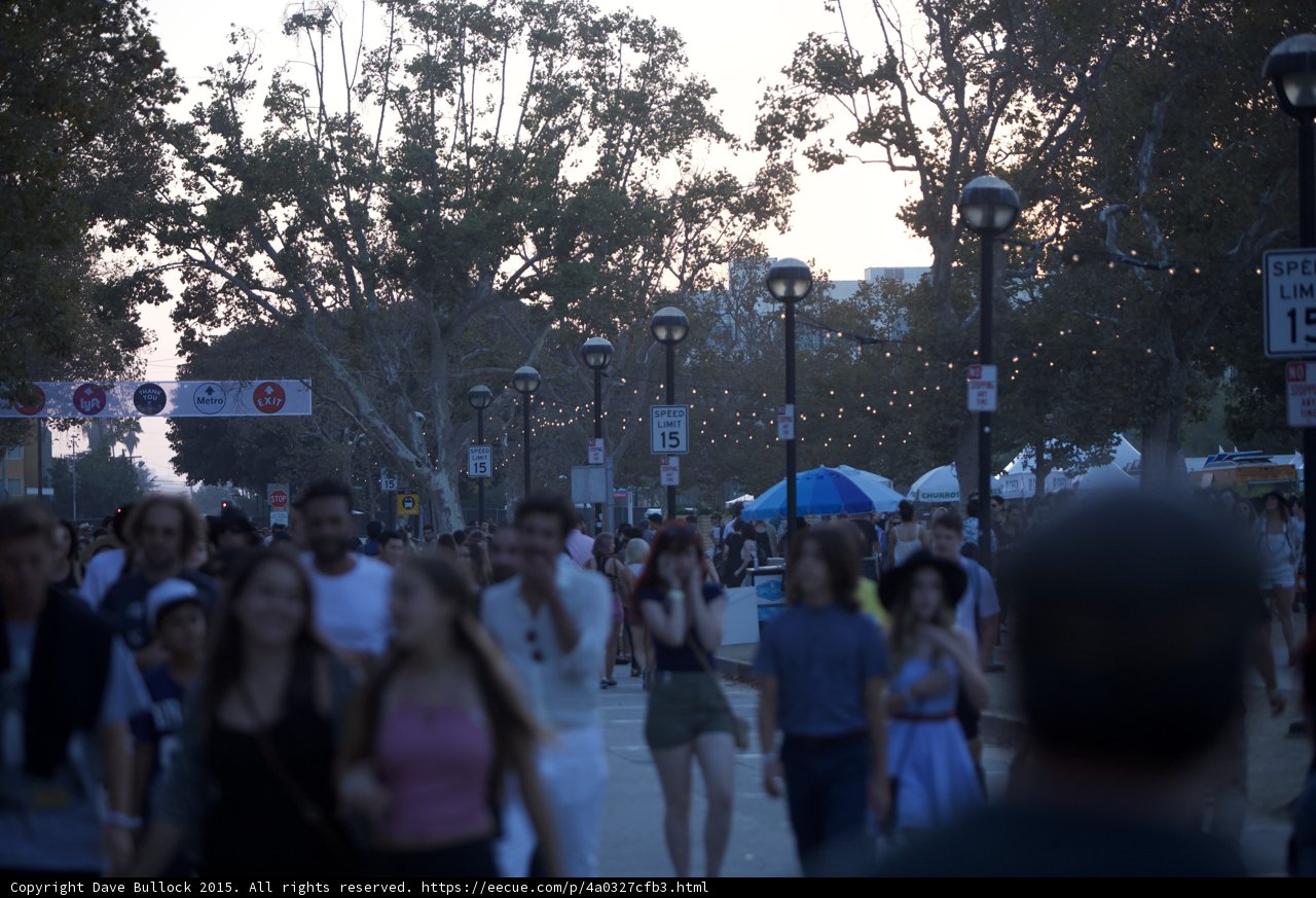 Crowd Walking Evening