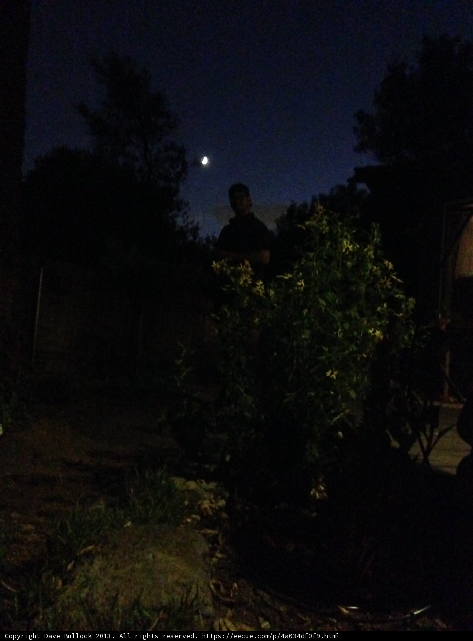 Lone Man in the Starry Night