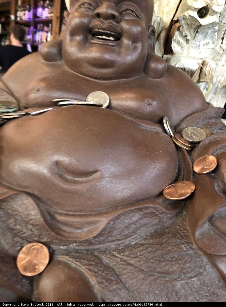 The Wealthy Buddha