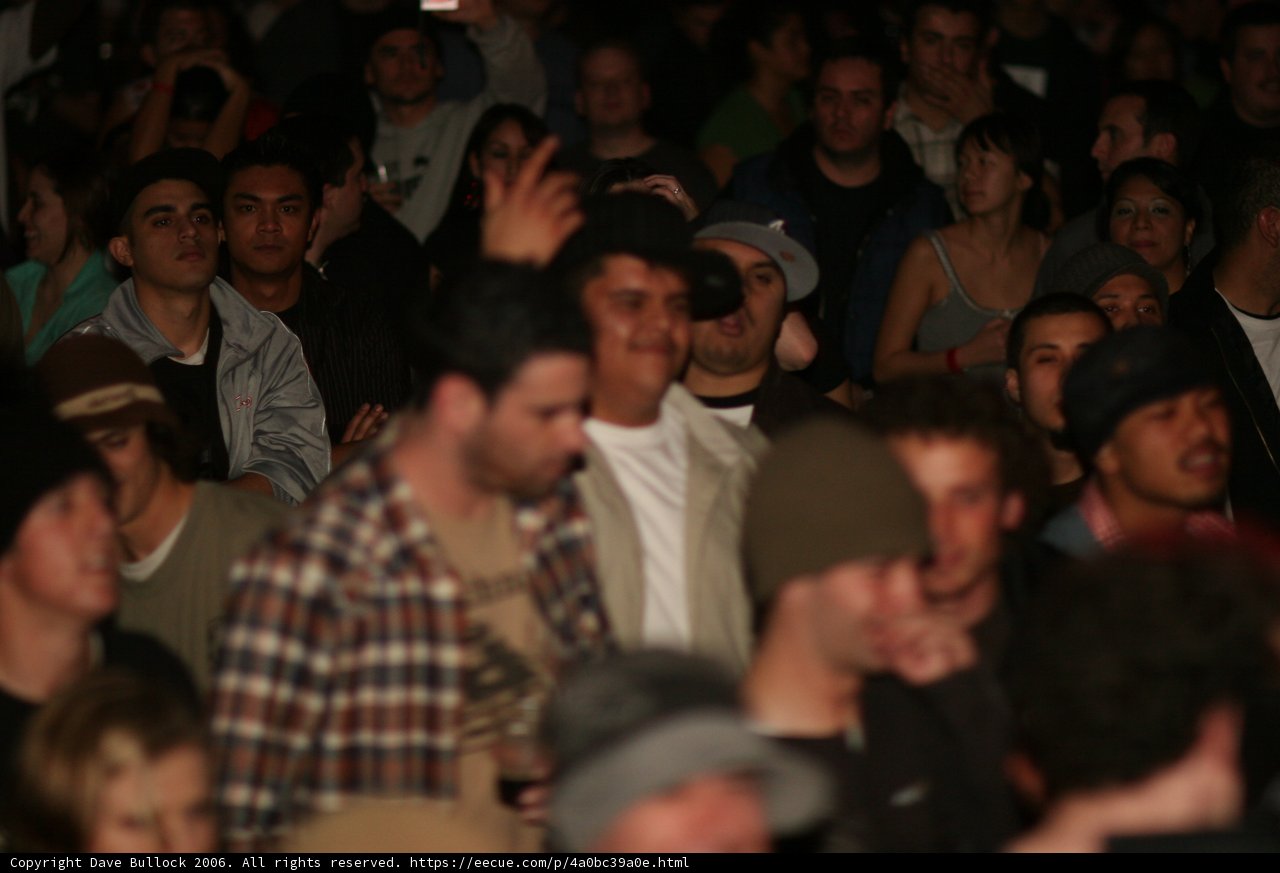 Crowd Goes Wild at Concert