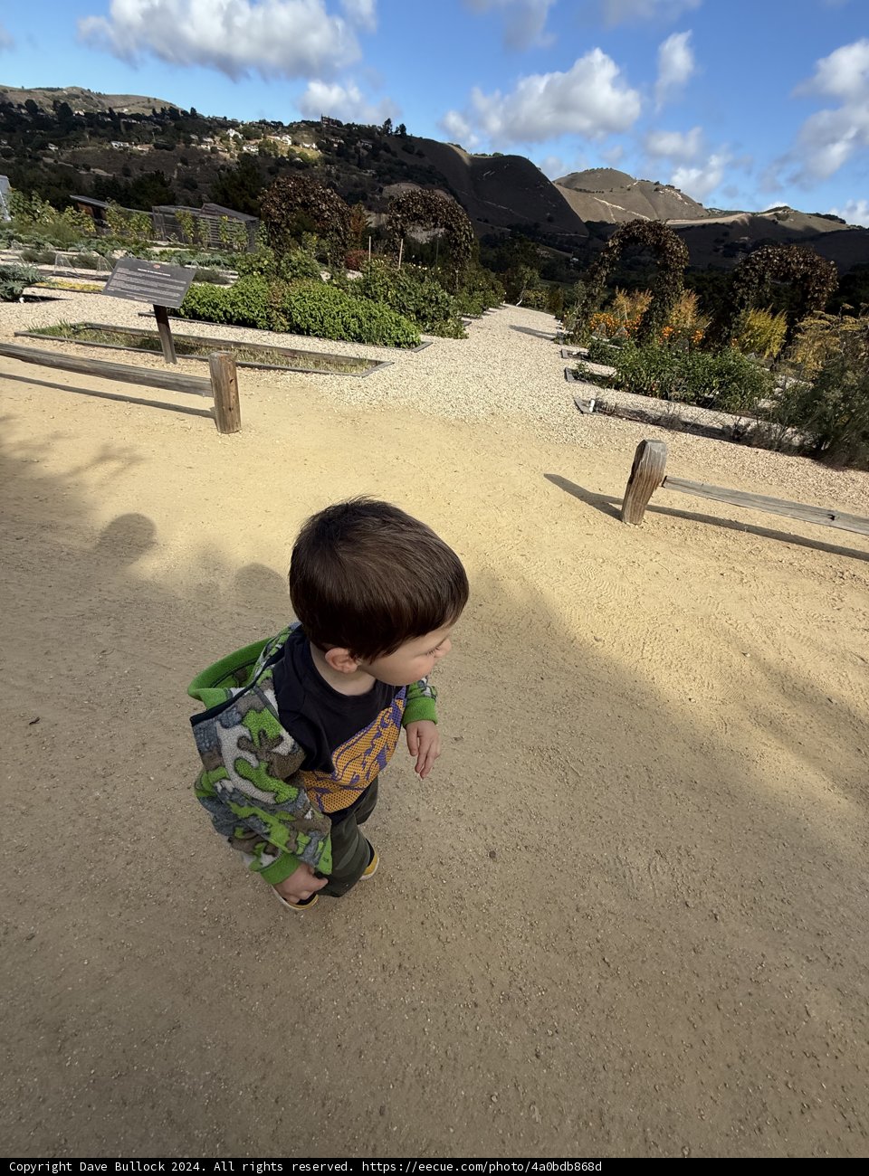 Exploring Nature's Path