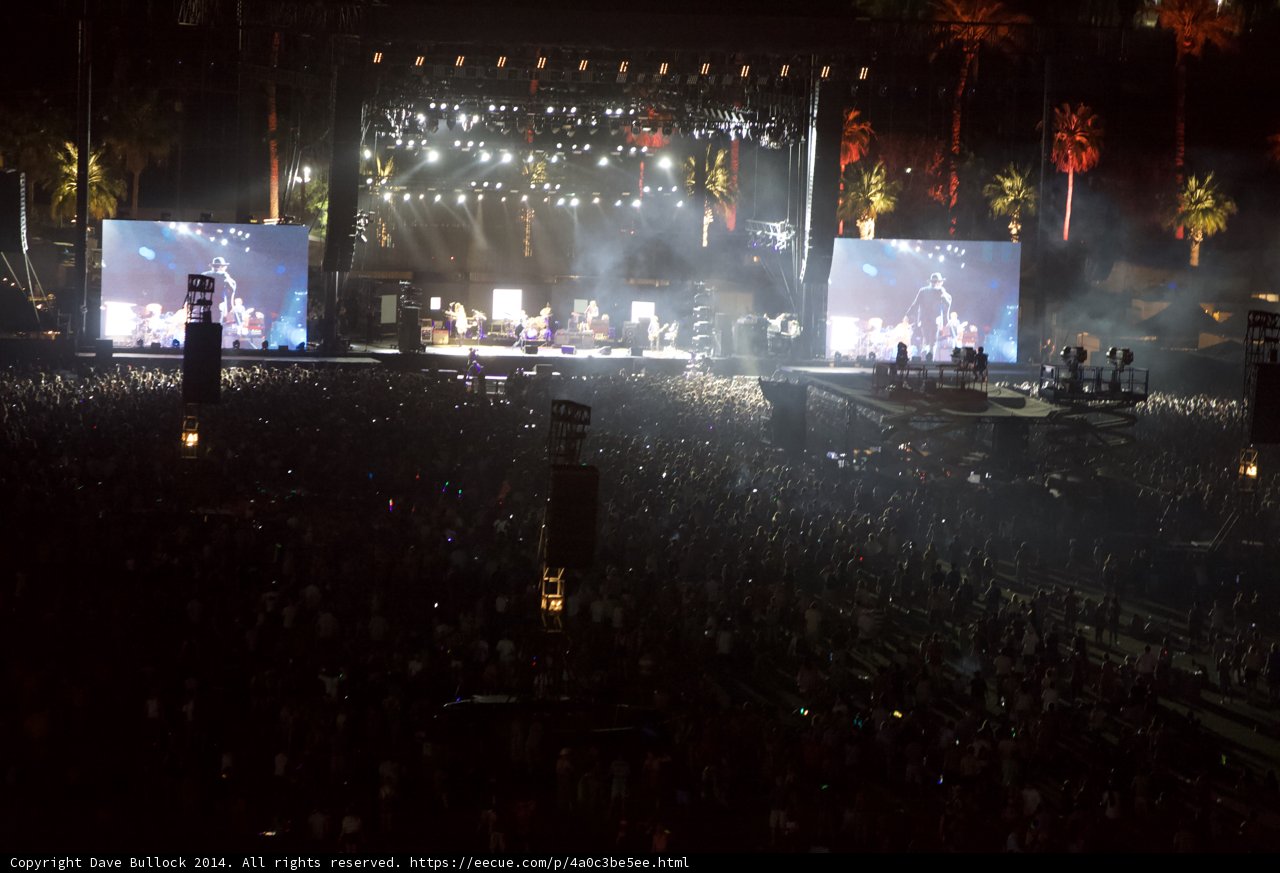 Rocking Out Among the Palms