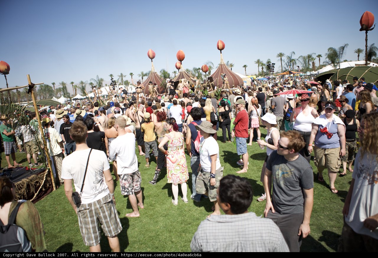 Coachella Crowd Under the Blue Sky