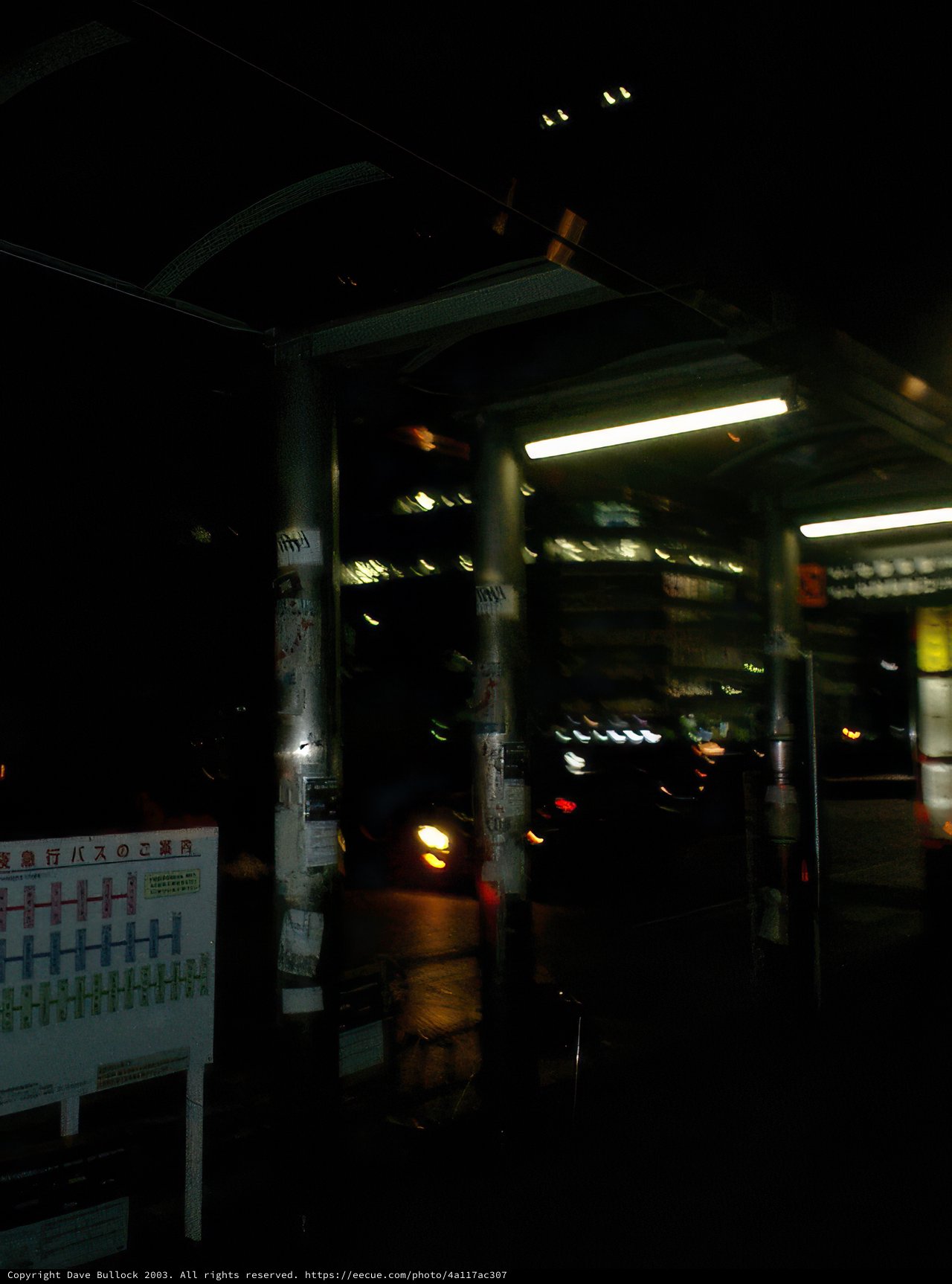 Waiting Under the Night Sky