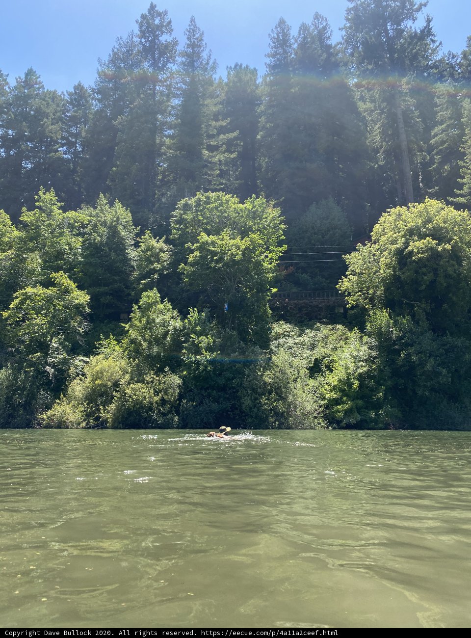 Kayaking through a River Paradise