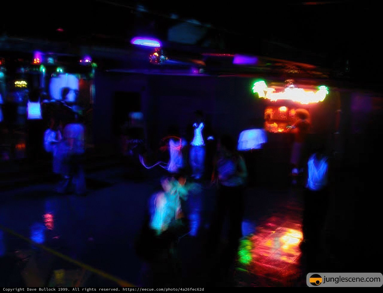 Nightclub Vibes