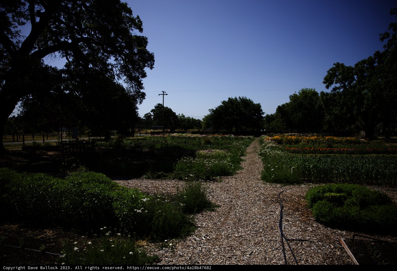 Journey to Nature's Abundance