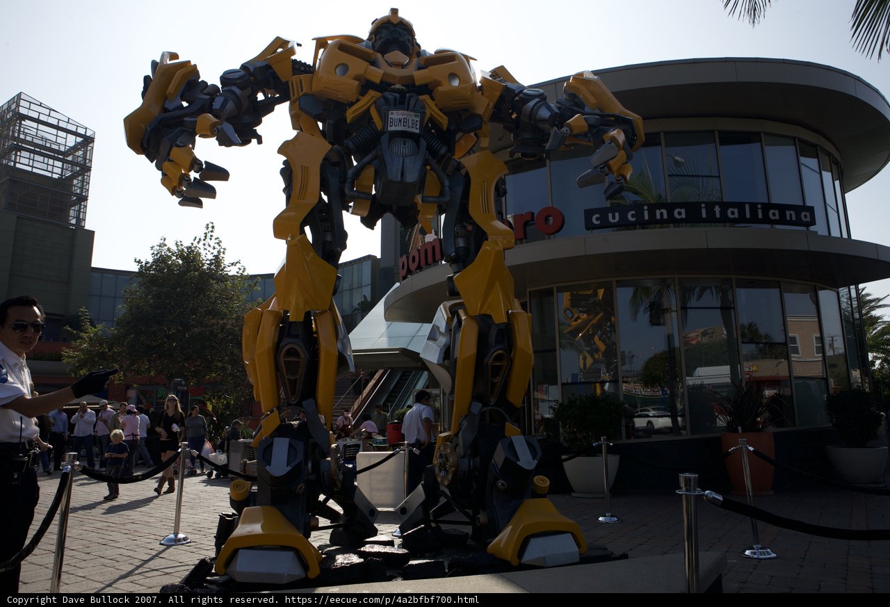 Robot in the City