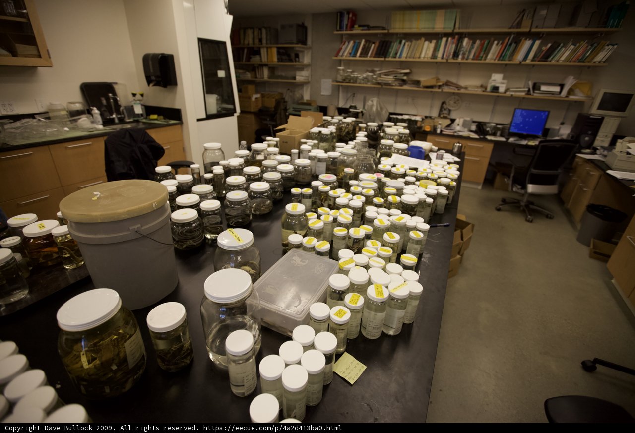 Cluttered Lab Table