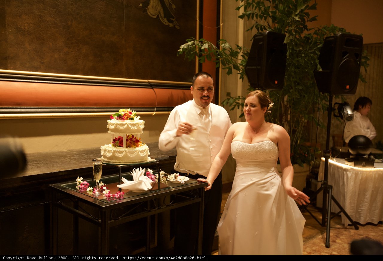 Cutting the Wedding Cake