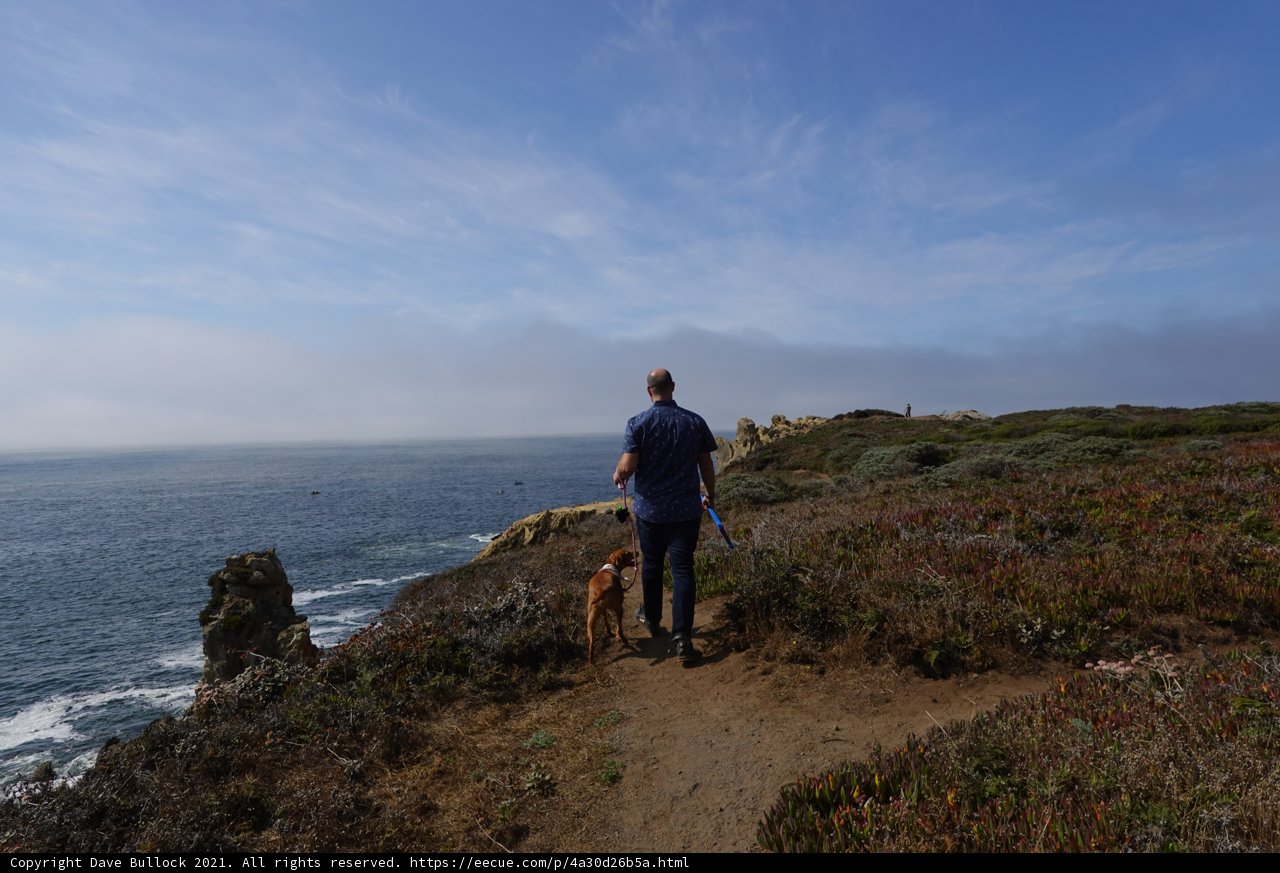 A Scenic Hike with My Best Friend