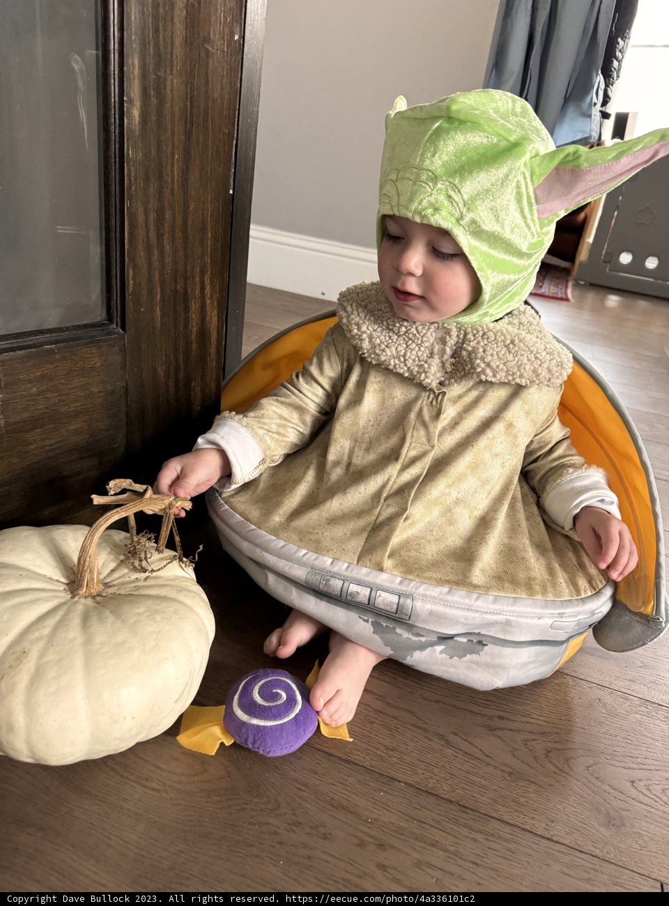 Halloween Delight: Baby Yoda's Pumpkin Adventure