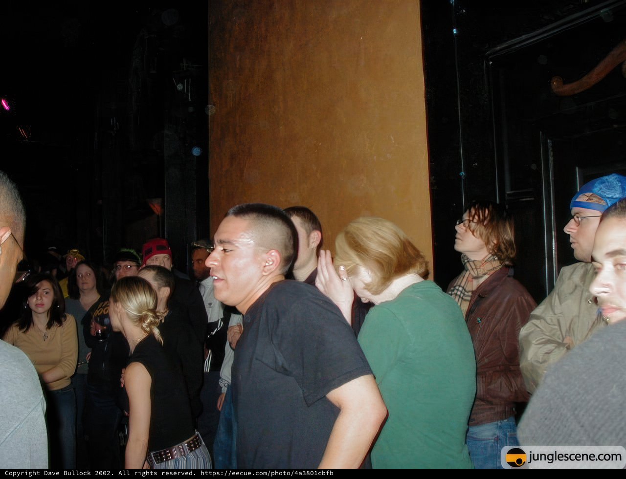 Nightclub Gathering