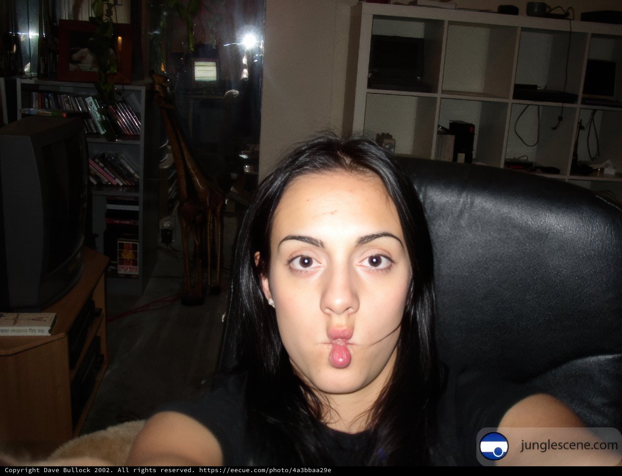 Portrait of a Woman with Black Hair in a Cozy Living Room