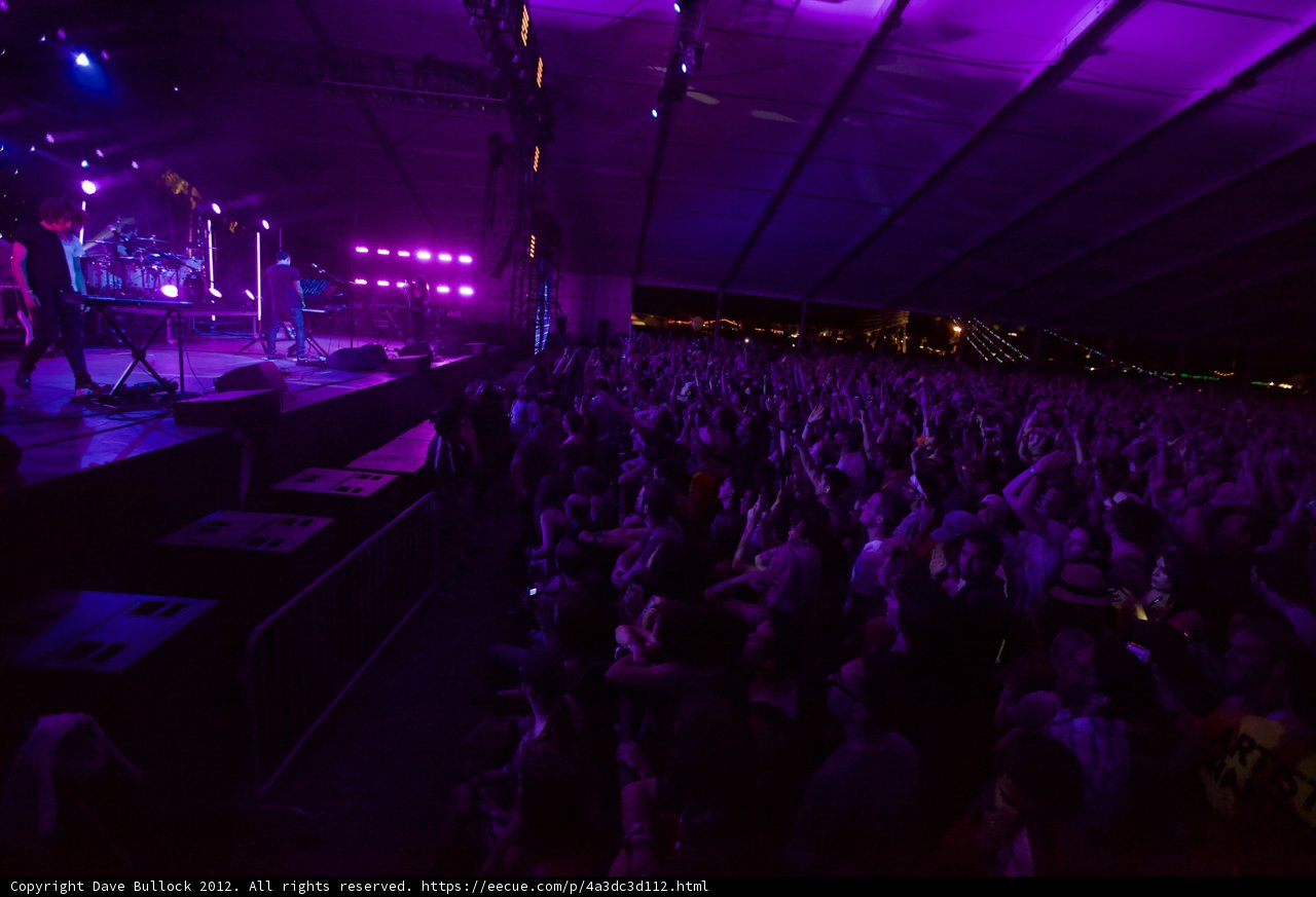 Purple Haze at Coachella