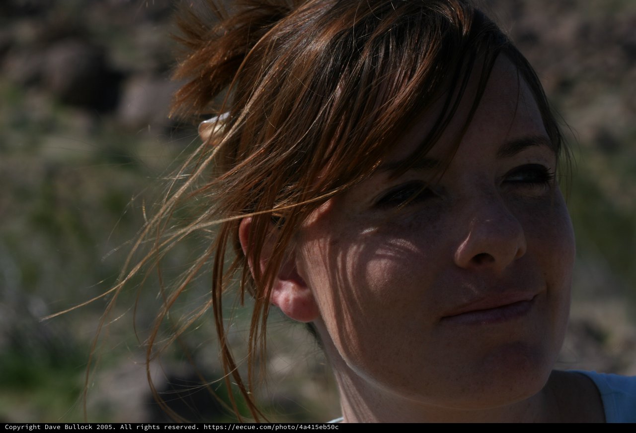 Wind-Swept Portrait of Woman in Natural Light