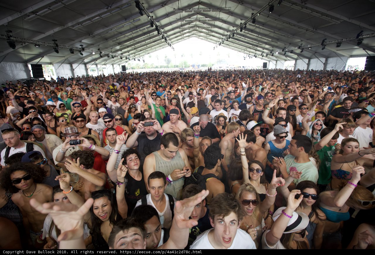 Coachella Concert Chaos