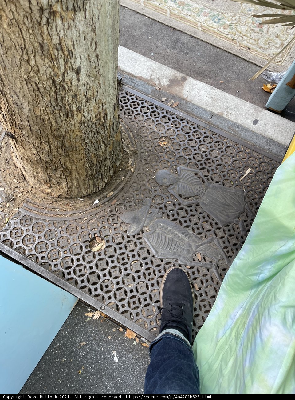 Shoes and Leaves