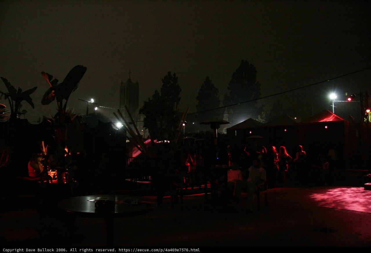 Nightlife Gathering Under the Stars