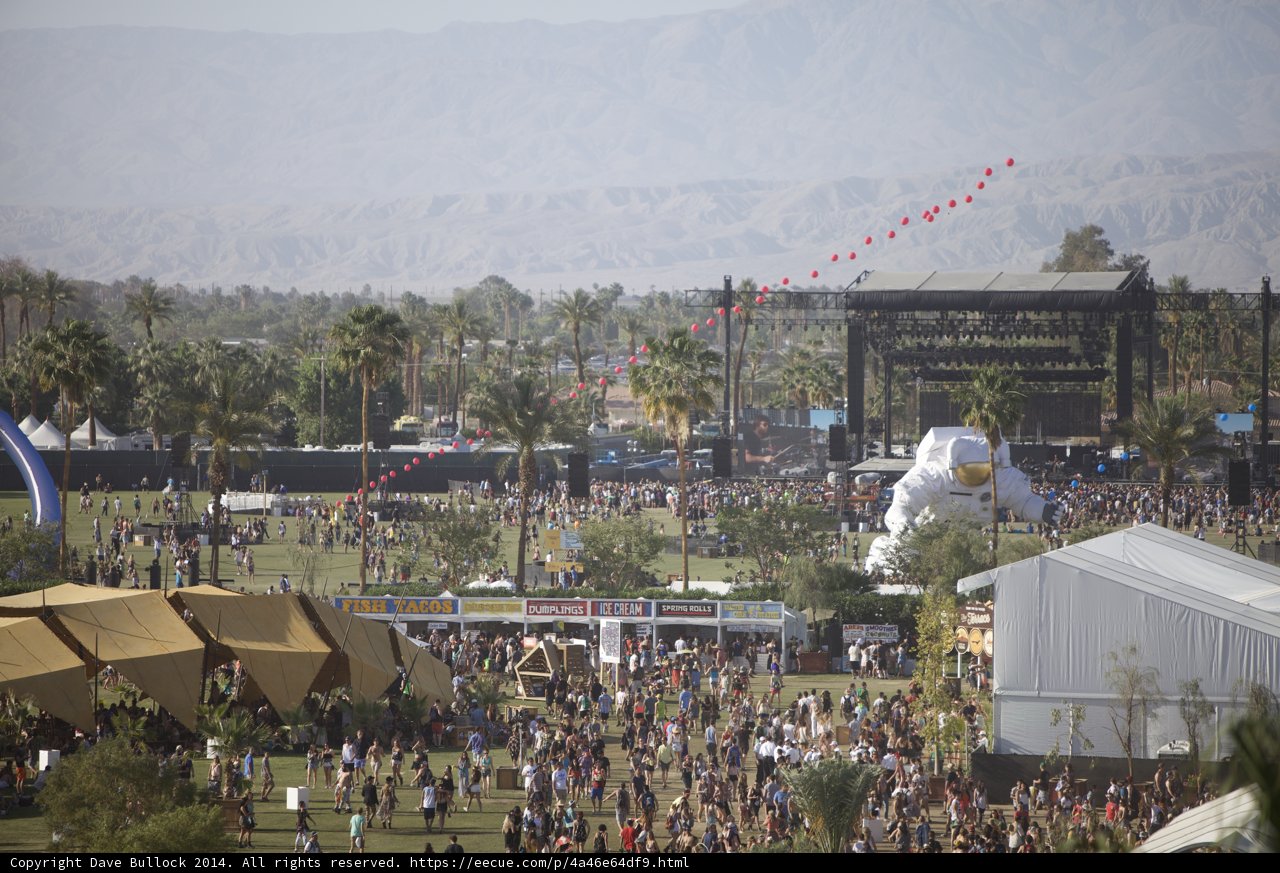 Festival Fun with a Giant Kite