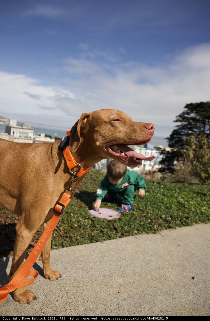 Day Out at Francisco Park with Wesley